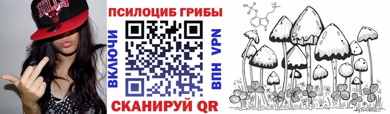 MEGA сайт Славгород Псилоцибиновые грибы Psilocybine cubensis